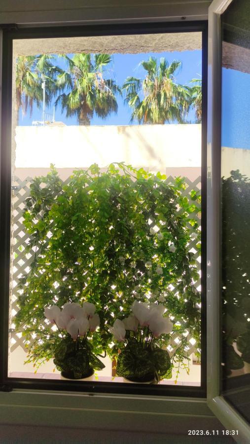 Rosalia Playa San Cristobal Wifi Netflix Apartment อัลมูเญการ์ ภายนอก รูปภาพ